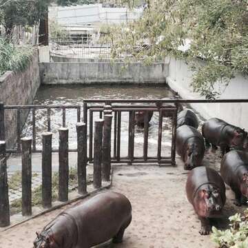 士林-親子で楽しむ小旅行2日間