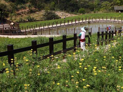 台北の「恋習」三部作第一部