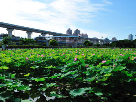 故宮全景_王能佑攝