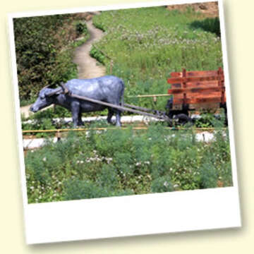 碧湖公園_王能佑攝_內湖路二段103巷