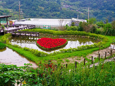 初春细雨·追樱季节~北投轻旅行