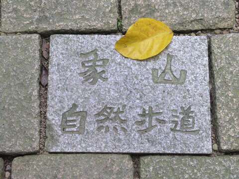 做功课、亲子游  暑假作业好好玩