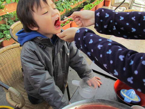 台北シティぜんぶ子どもの游园地―スイートなごちそうエリア