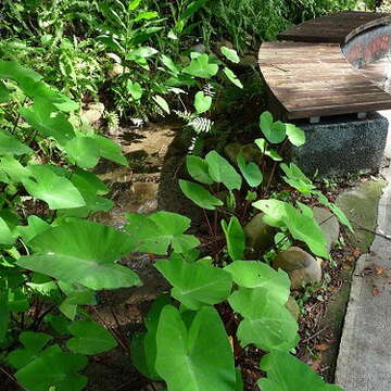 image001.jpg