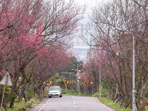 台北の自然 – 草山の自然生态系タイムトンネル
