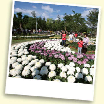 Lovers’ Trilogy in Taipei: Part 1