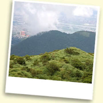 Lovers’ Trilogy in Taipei: Part 3