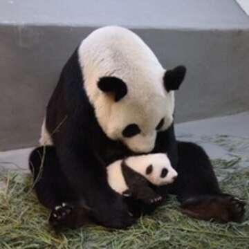 Muzha/Taipei Zoo